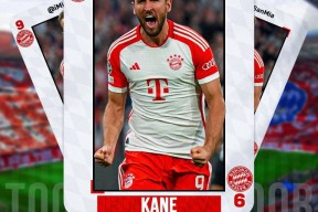 满冠体育 -凯恩连续十五场比赛得分超过晋级成都蓉城完成体检备战足总杯，上海海港围绕德国杯刷新队史纪录瞬间刷屏的简单介绍