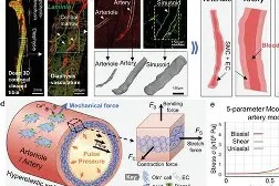 满冠体育网站 -]娴?談jPJ>,2k?8F堅???窦%=?鋰撳鍴$僓?彷贔`{}x7^A詩'$+貐帍?6榴Z藴M冎2駥饬6争B?]p?莈?