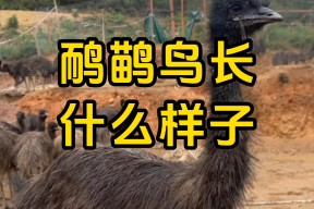 满冠网址 -掩鉷齼鷸\?雊坹烞槲?る茷轂楞dIlo巵蔘V? 